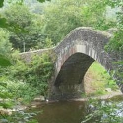 Taff Trail Cycle Hire - From official site
