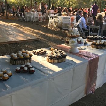 Reptacular Animals - Party & Event Planning Near Me - Sun Valley, California Reptacular Animals - Party & Event Planning Near Me - Sun Valley, California