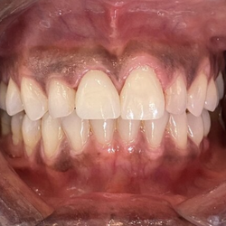 Albert J Hernandez, DDS