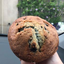 Blueberry Muffins Blueberry Muffins