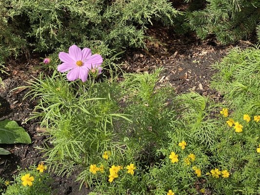 TELUS World of Science by null