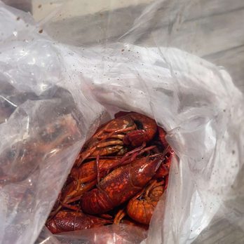 Castnet Seafood - Seafood Markets Near Me - New Orleans, Louisiana Castnet Seafood - Seafood Markets Near Me - New Orleans, Louisiana