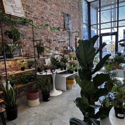 Roots KC