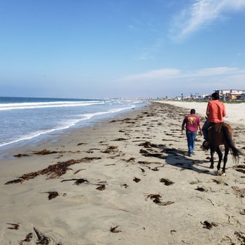 Ensenada Excursions and Tours - Relaxing. - Transportation Near Me - Ensenada, BCN
