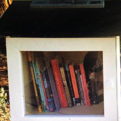 Little Free Library - Pearly white library