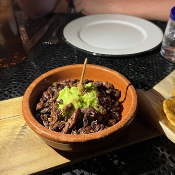 La Cantina by Cuishe - Fried bugs - Mexican Near Me - San Antonio, Texas