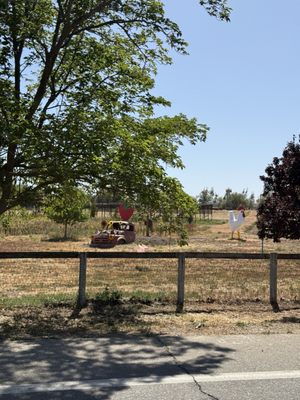 Summerset Farm by null