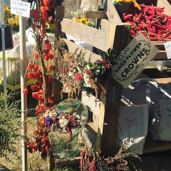 Common Ground Fair - Festivals Near Me - Unity, Maine