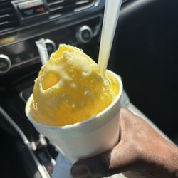 Cool Tiger Ice Snoballs
