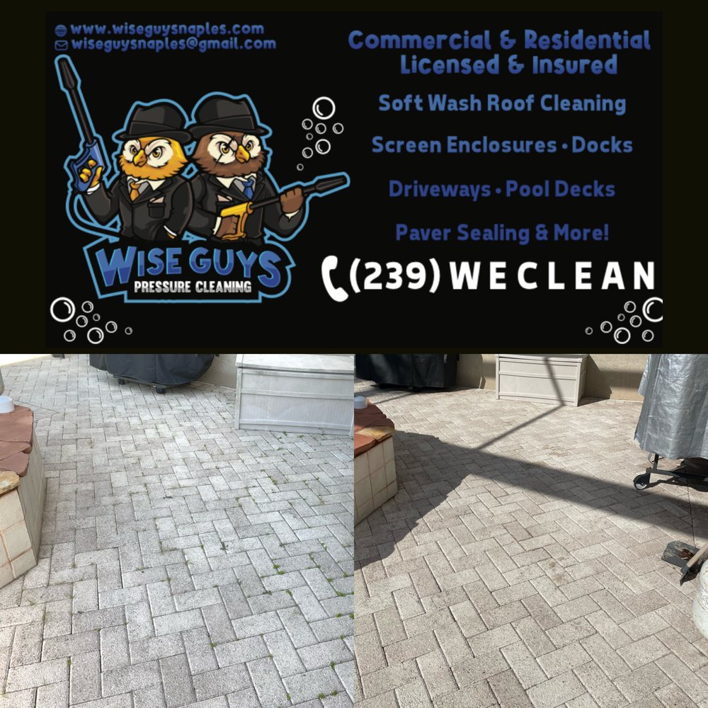 Slide of Wise Guys Pressure Cleaning