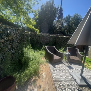 Bay Area Lawn Care - Before - Lawn Services Near Me Bay Area Lawn Care - Before - Lawn Services Near Me