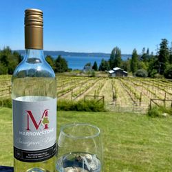 Marrowstone Vineyards - Sav Blanc