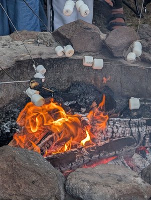 Anthony Chabot Regional Park by null