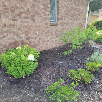 TN Nursery - DEAD 2 - Nurseries & Gardening Near Me - Altamont, Tennessee TN Nursery - DEAD 2 - Nurseries & Gardening Near Me - Altamont, Tennessee