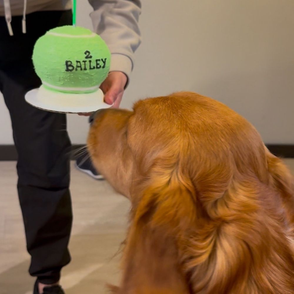 Axel & Tia's Pet Bakery - Pet Stores Near Me