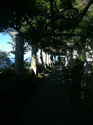 Villa San Michele by null