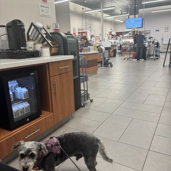 VEG ER for Pets - Emergency Pet Hospital Near Me - Stevenson Ranch, California