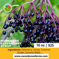 Sweet Jones Farms - Elderberry freshly made weekly!
