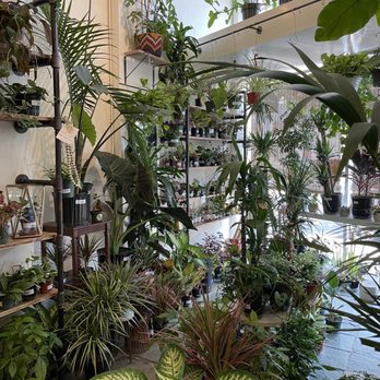 Planterday - So many plants to choose from! - Nurseries & Gardening Near Me - Oakland, California Planterday - So many plants to choose from! - Nurseries & Gardening Near Me - Oakland, California