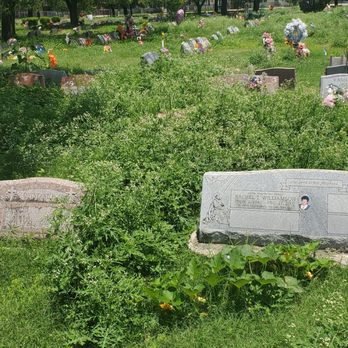 San Fernando Cemetery - Funeral Services & Cemeteries Near Me - San Antonio, Texas San Fernando Cemetery - Funeral Services & Cemeteries Near Me - San Antonio, Texas
