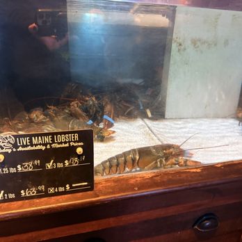 Red Lobster - Live lobster by the pound - Seafood Near Me - Victorville, California Red Lobster - Live lobster by the pound - Seafood Near Me - Victorville, California