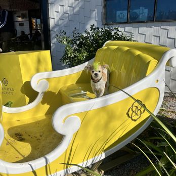 Kendra Scott Flagship - Ziggy    IG: ziggythemohawkmutt - Jewelry Near Me - Austin, Texas