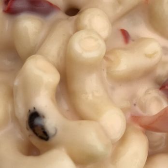 Dale Bagels - I found a small cockroach in the macaroni cheese container today - Bagels Near Me - Brooklyn, New York Dale Bagels - I found a small cockroach in the macaroni cheese container today - Bagels Near Me - Brooklyn, New York