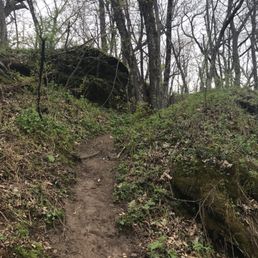 Trail