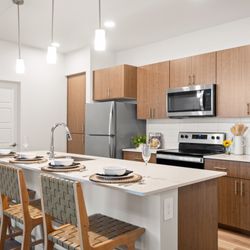 Acero on Roosevelt Apartments - Brand new kitchen