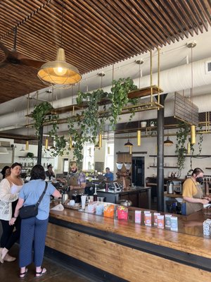 Steam Espresso Bar by null