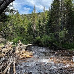 Peaceful Valley Campground
