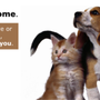 Photo of Stepping Stone Animal Society