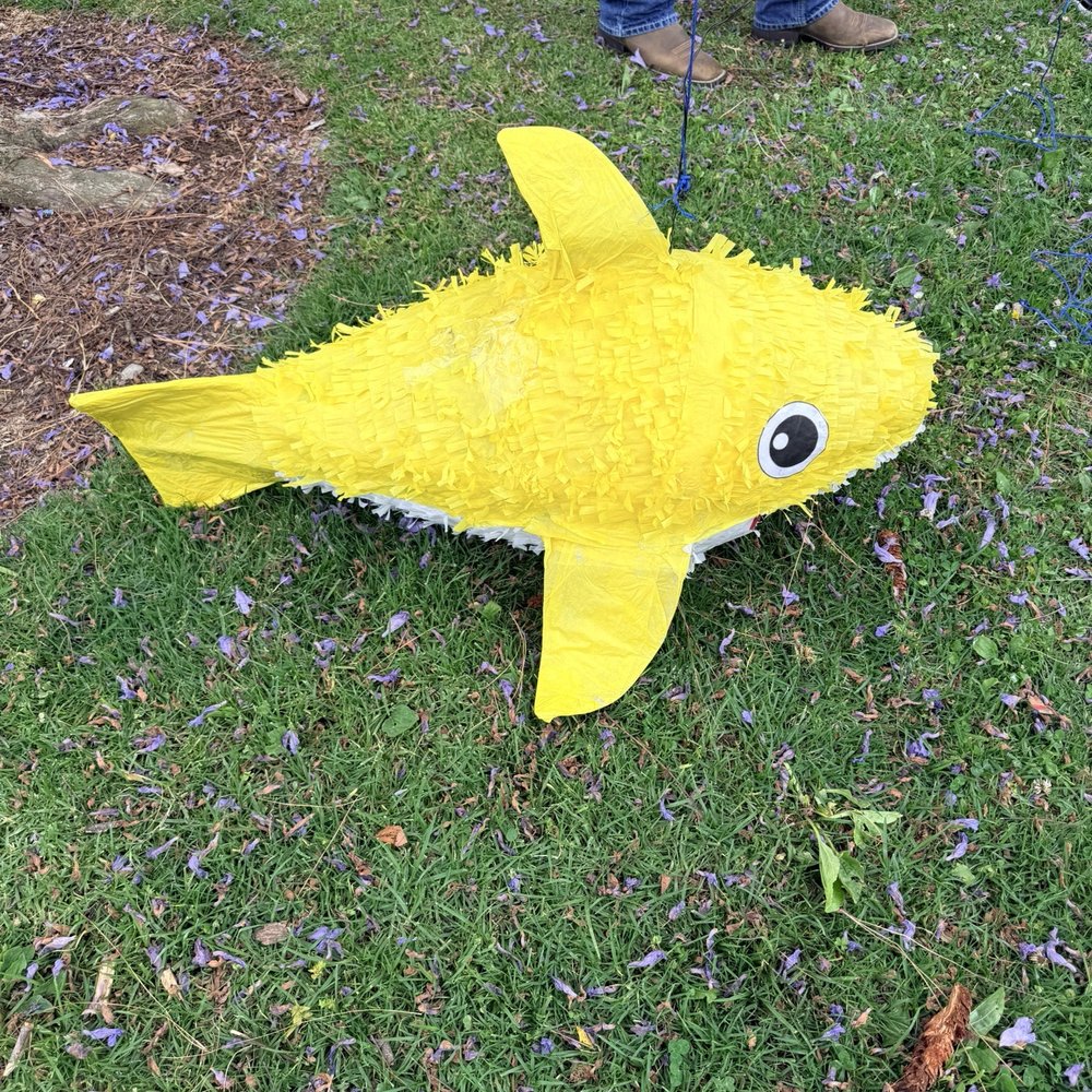 Wardlow Park - Piñata - Parks Near Me - Long Beach, California