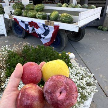 Sons Farm Fresh - Pluots and pluerries - Fruits & Veggies Near Me - Oakdale, California Sons Farm Fresh - Pluots and pluerries - Fruits & Veggies Near Me - Oakdale, California