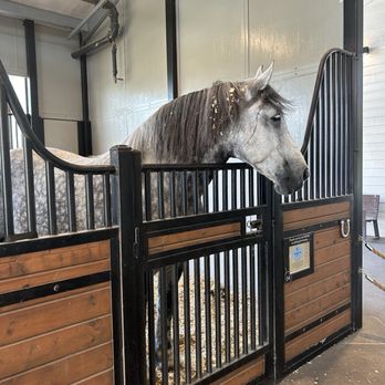 Tri-Circle-D Ranch - Sebastian - Horseback Riding Near Me - Orlando, Florida