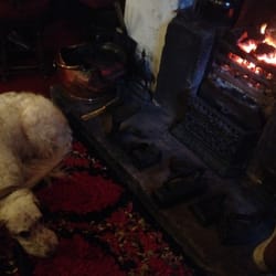 Laurel Inn - Count Merlot enjoying the fire!