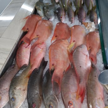Casamar Seafood Market - Seafood Markets Near Me - Tavernier, Florida Casamar Seafood Market - Seafood Markets Near Me - Tavernier, Florida