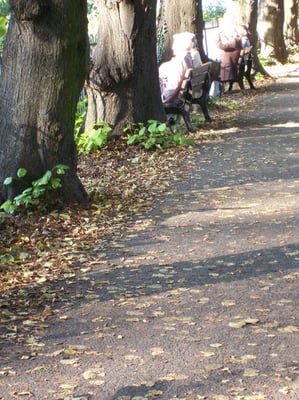 Kaiserpfalz Kaiserswerth by null