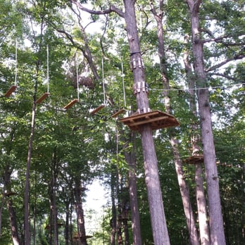 Tree Runner Adventure Park - Looking up - Challenge Courses Near Me - West Bloomfield, Michigan Tree Runner Adventure Park - Looking up - Challenge Courses Near Me - West Bloomfield, Michigan