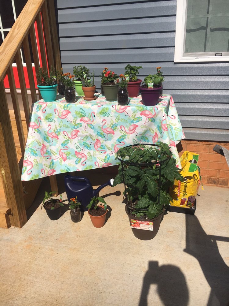 HOMESTEAD FARM AND GARDEN SUPPLY 12 Photos Pet Stores 207