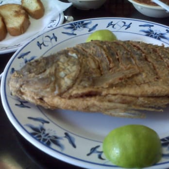 Ostioneria Ojo De Agua - Mojarra Frita - Latin American Near Me - Houston, Texas Ostioneria Ojo De Agua - Mojarra Frita - Latin American Near Me - Houston, Texas