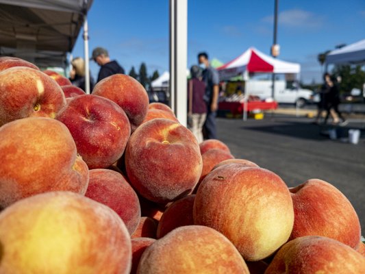 Santa Teresa Farmers' Market by null