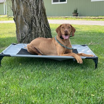 Legacy Canine Boarding and Training - Pet Training Near Me - Post Falls, Idaho