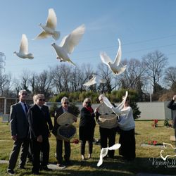Visions of White Dove Release - Funeral Dove Release - Wilmington, DE