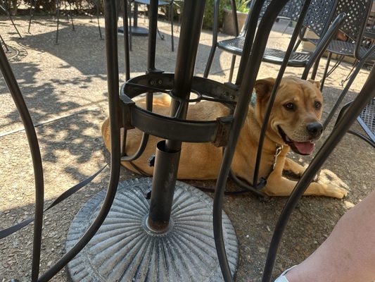 The Royale Food & Spirits by null