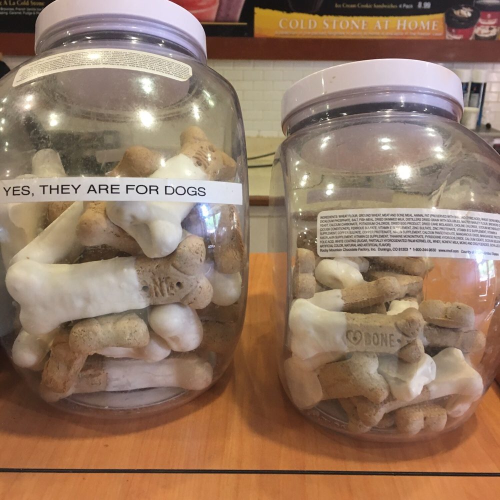 Cold Stone Creamery - Dog treats. Cool - Ice Cream & Frozen Yogurt Near Me - Lexington, Kentucky Cold Stone Creamery - Dog treats. Cool - Ice Cream & Frozen Yogurt Near Me - Lexington, Kentucky