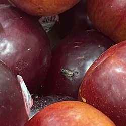Harris Teeter - Fruit and Vegetables Section