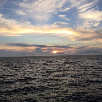 Skates On The Bay - Nice sunset - Seafood Near Me - Berkeley, California