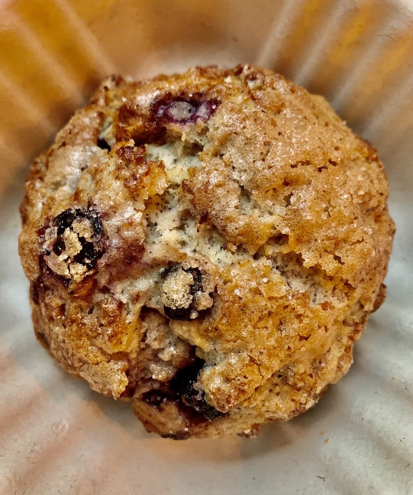 Social spots from Fidel & Co