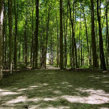 MacGregor Park - Parks Near Me - Westfield, Indiana